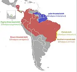 Distribución de las especies de Bradypus