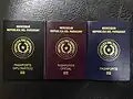 Comparativa de los tres tipos de pasaportes paraguayos (actuales).