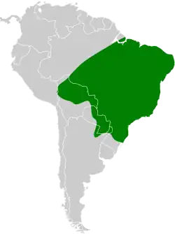Distribución geográfica del titira colinegro oriental.