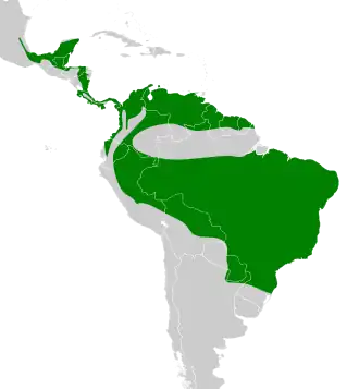Distribución geográfica de la titira coroninegra.