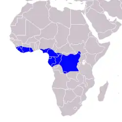 Distribución del toco negro