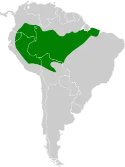 Distribución geográfica del titirijí cejiamarillo.