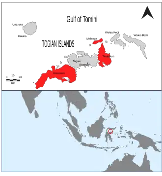 Localización de las islas Togian con las islas donde habita Z. somadikartai en color rojo.
