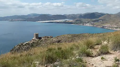 Espartales en La Azohía (Cartagena).