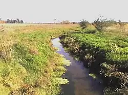 Arroyo de la Cañada Pantanosa.