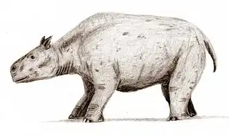 Toxodon (Notoungulata)