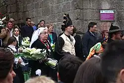 Fiestas de San Telmo