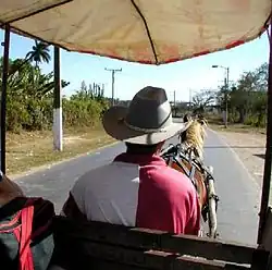 En la foto, febrero de 2004, se aprecia parte de la carretera entre el pueblo de Guayacanes y el Crucero de Guayacanes y uno de los medios de transporte utilizado por los habitantes.