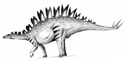 Tuojiangosaurus.
