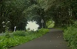 Vista de la calle a través de los árboles entre Lavesum y Haltern am See,