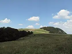 entre Lepuix y Ballon d'Alsace, el panorama del camino