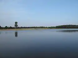 El Mosa en el parque nacional De Maasduinen