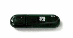 Memoria USB o pendrive de 2 GB.