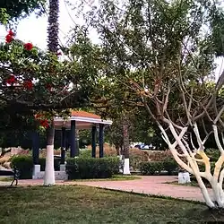 Parte de la Unidad Deportiva El Rubí