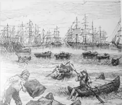 Uso en la exportación salitrera, 1890