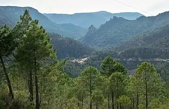 Sierra del Segura, y Valle del río Mundo.