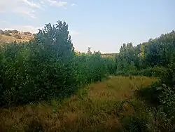 Valle y cañón del río a su paso por La Higuera