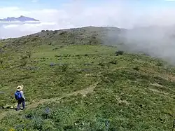 Vereda en la Mota Chica