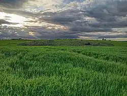 Restos ruinosos entre campos de cultivo del despoblado, iglesia parroquial al fondo.