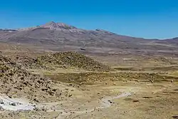 Vicuñas (Vicugna vicugna) en la reserva.