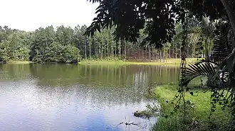 Vido el la Domo-muzeo de Polo Montañez