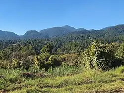 Donato Guerra[87]​