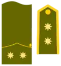 Teniente coronel