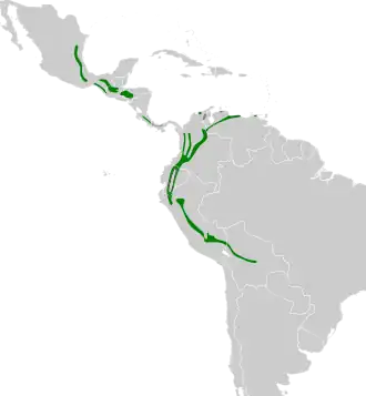 Distribución geográfica del vireo coronipardo.
