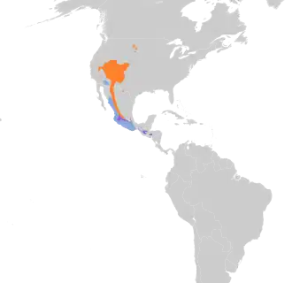 Distribución geográfica del vireo plomizo.