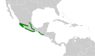 Distribución geográfica del vireón pechicastaño.