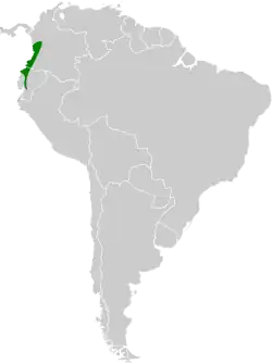 Distribución geográfica del vireón paticlaro.