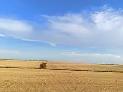 Vista desde las bodegas
