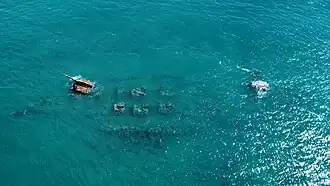 Vista aérea del pecio del crucero Vizcaya en la actualidad.
