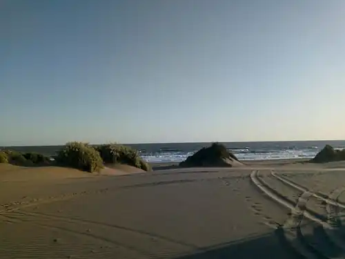 Vista del mar desde un médano, Pehuen Có