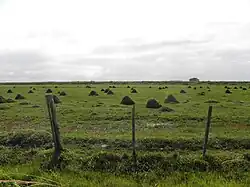 Fotografía de un campo en un día nublado. El suelo es todo pasto verde y está lleno de unos montículos (también cubiertos de hierba) que se extienden hasta el horizonte. En primer plano hay una valla hecha con postes de madera y alambre para evitar que las vacas se escapen.