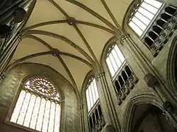 Brazo meridional del crucero