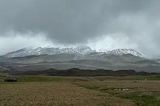 Herbazal del páramo