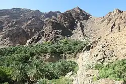 Wadi Shees. Beauty in the middle of Dry Mountains