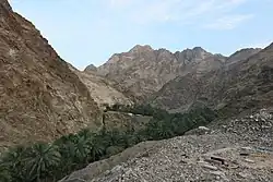 Wadi Shees. Beauty in the middle of Dry Mountains