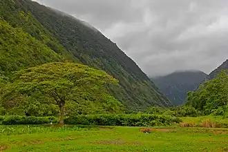 Vista del interior del valle de Waipiʻo.