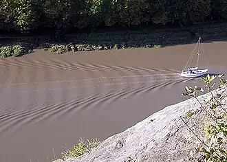 Olas en aguas tranquilas .
