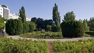 Rosarium Wettsteinpark de Viena en Viena.