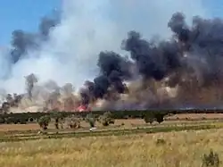 Flat expanse of brown grasses and some green trees with black and some gray smoke and visible flames in the distance.