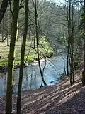 El Bille, que forma el límite norte del Sachsenwald, cerca de Witzhave
