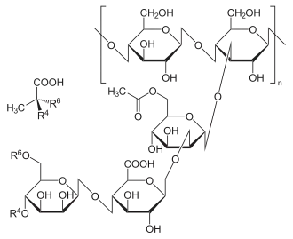 Imagen de la estructura