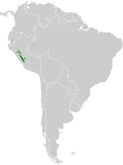 Distribución geográfica del dacnis andino norteño.