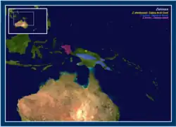 Mapa de distribución de Zaglossus spp.