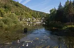 El rio Saale desde el puente