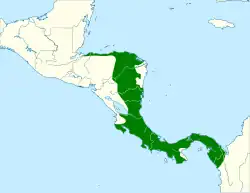 Distribución geográfica del mosquerito centroamericano.