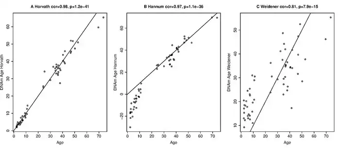 Comparación de los 3 predictores de edad descritos en A) Horvath (2013), B) Hannum (2013), y C) Weidener (2014), respectivamente. El eje x representa la edad cronológica en años, mientras que el eje y muestra la edad prevista. La línea negra continua corresponde a y = x. Estos resultados se generaron en un conjunto de datos de metilación sanguínea independiente que no se utilizó en la construcción de estos predictores (datos generados en noviembre de 2014).